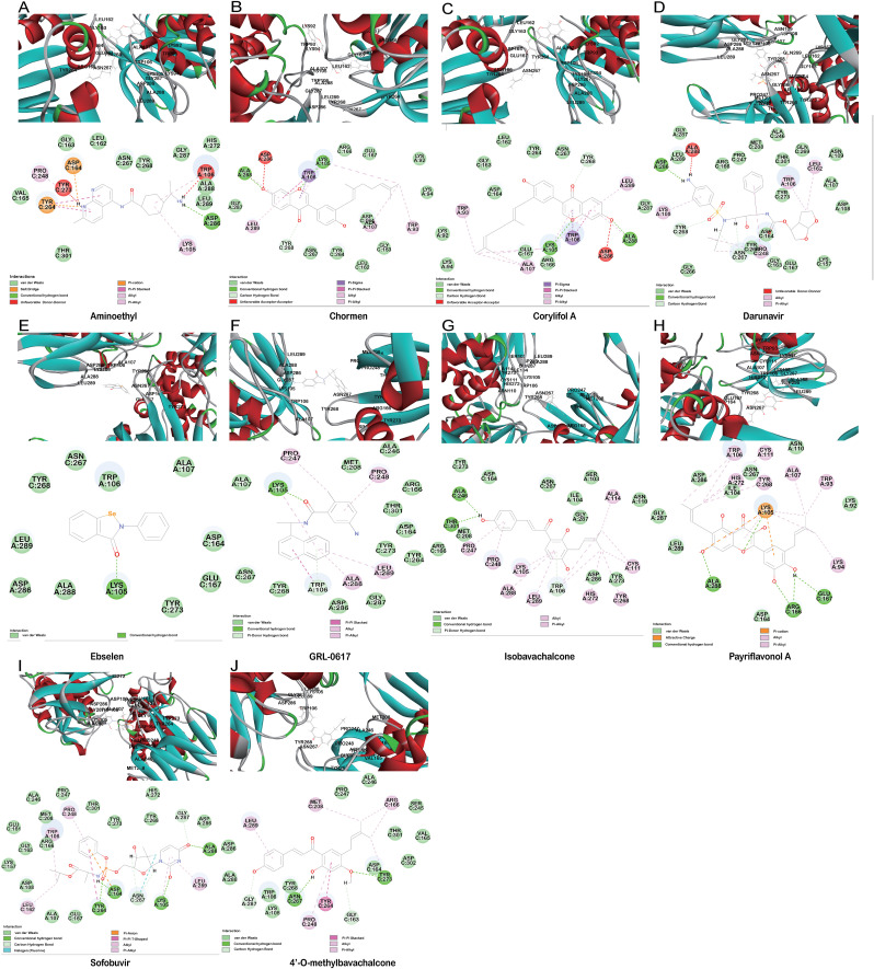 Fig. 2