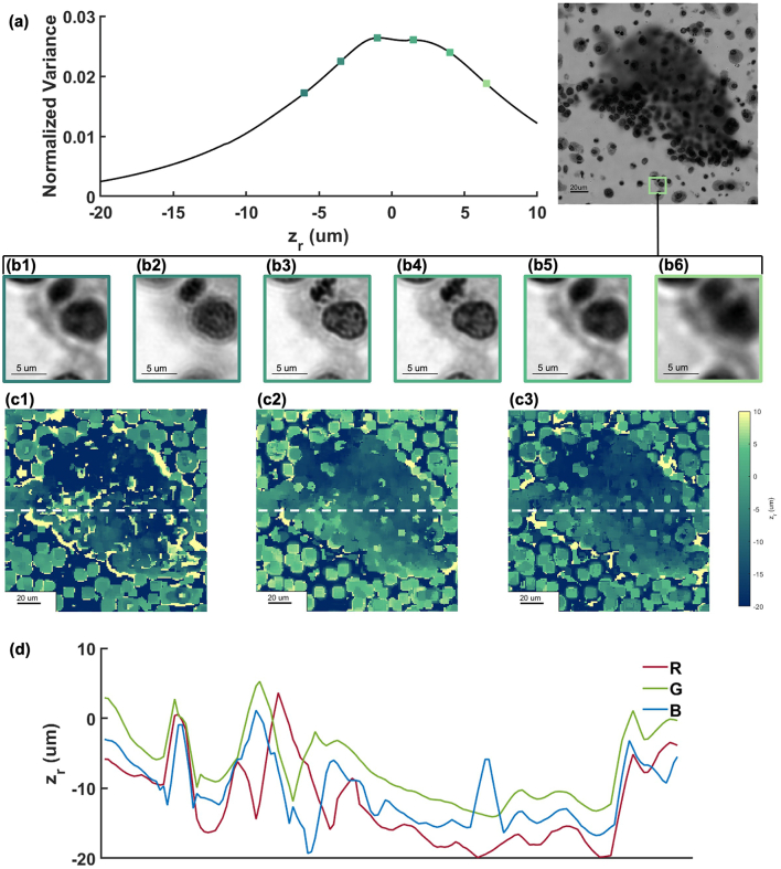 Fig. 4