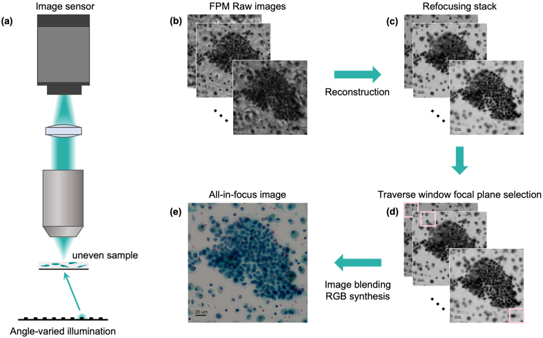 Fig. 2