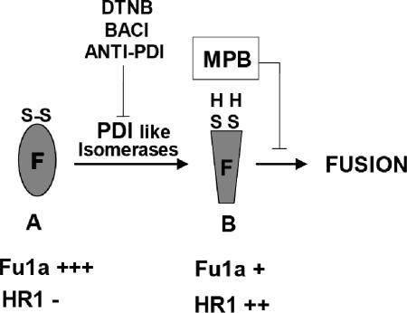 FIG. 8.