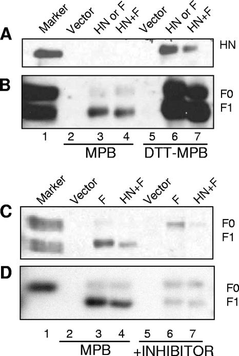 FIG. 5.