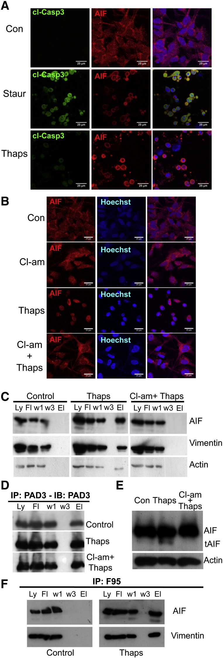 Fig. 7