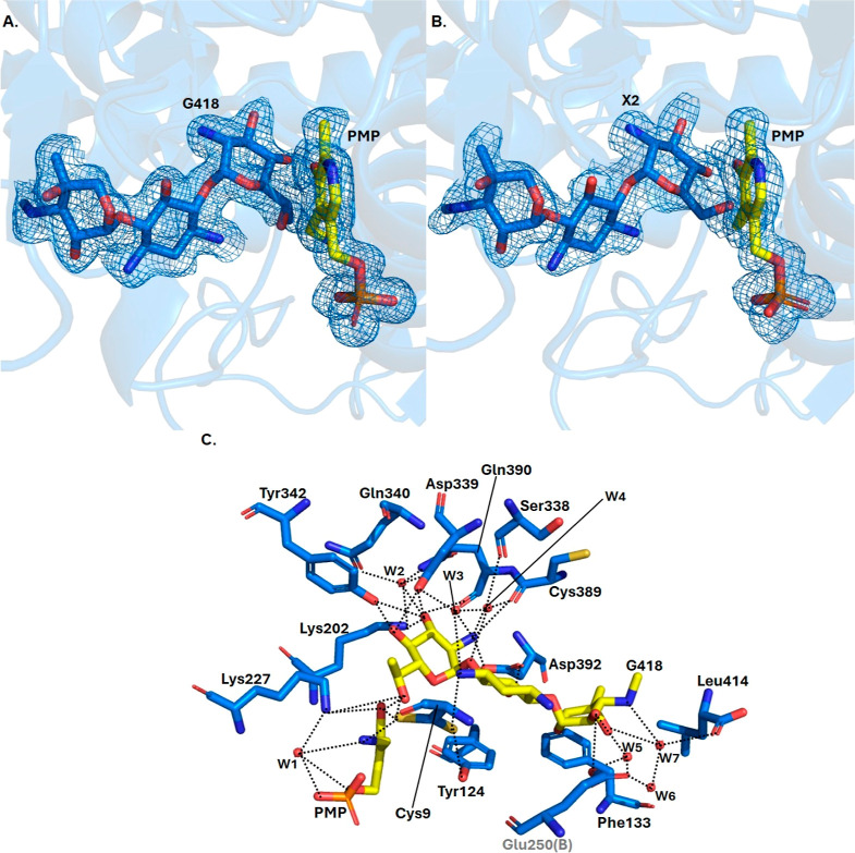 Figure 4