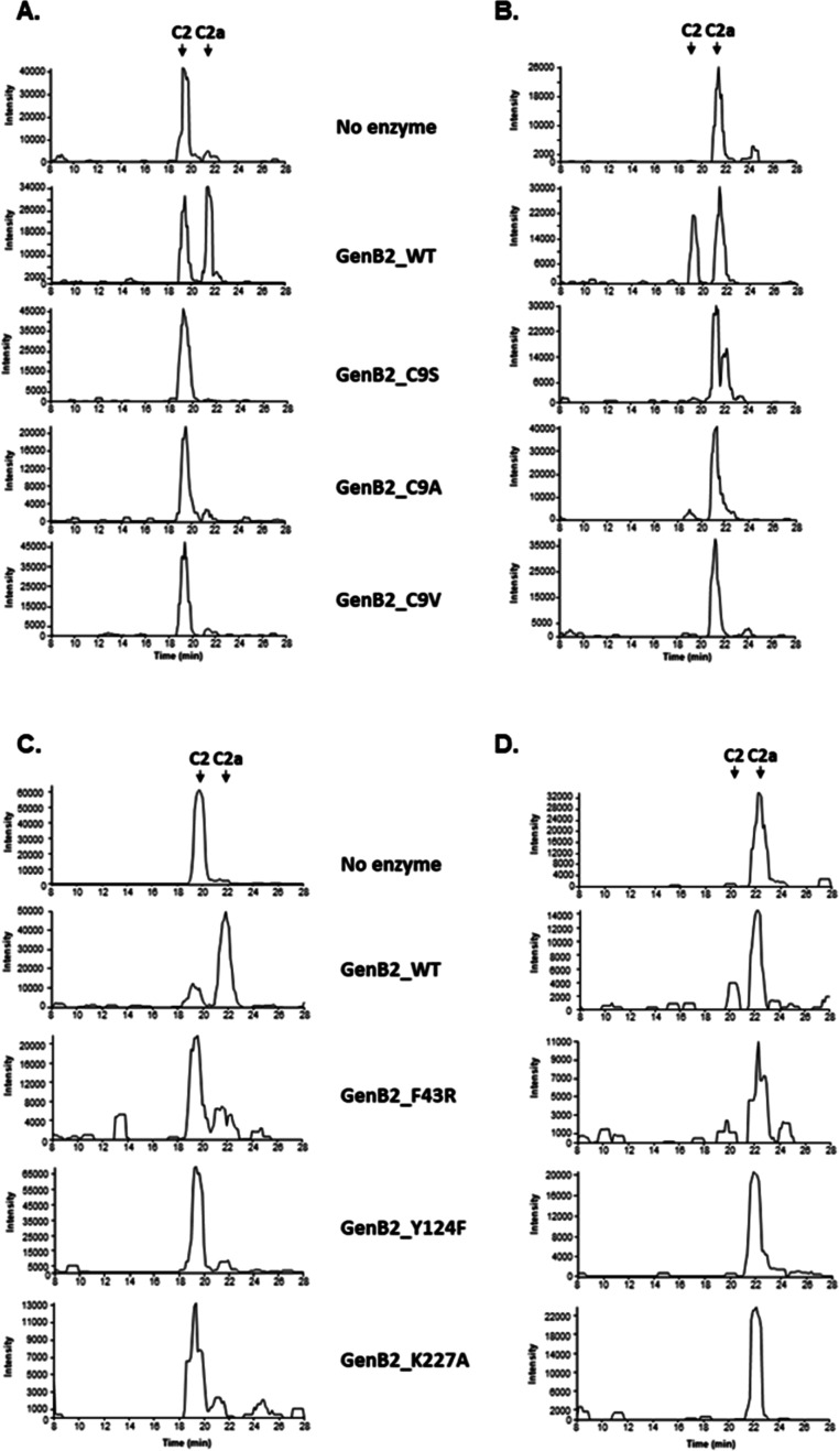 Figure 5