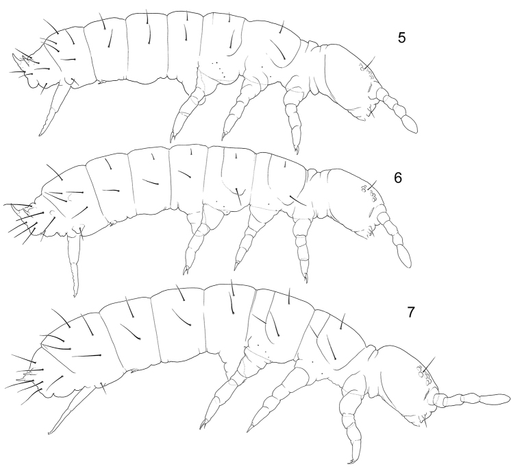 Figures 5–7.