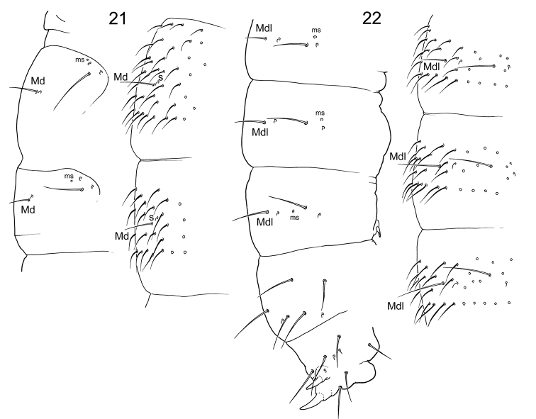 Figures 21–22.