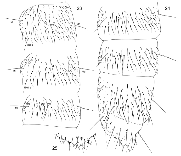 Figures 23–25.
