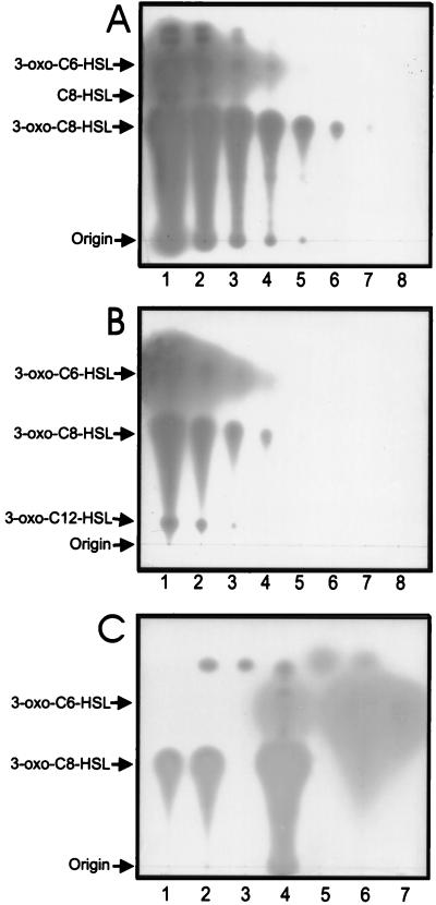 FIG. 5