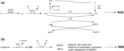 Fig. 2