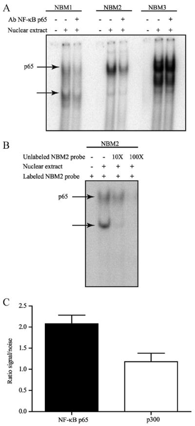 FIGURE 3