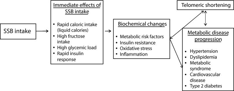 FIGURE 1—