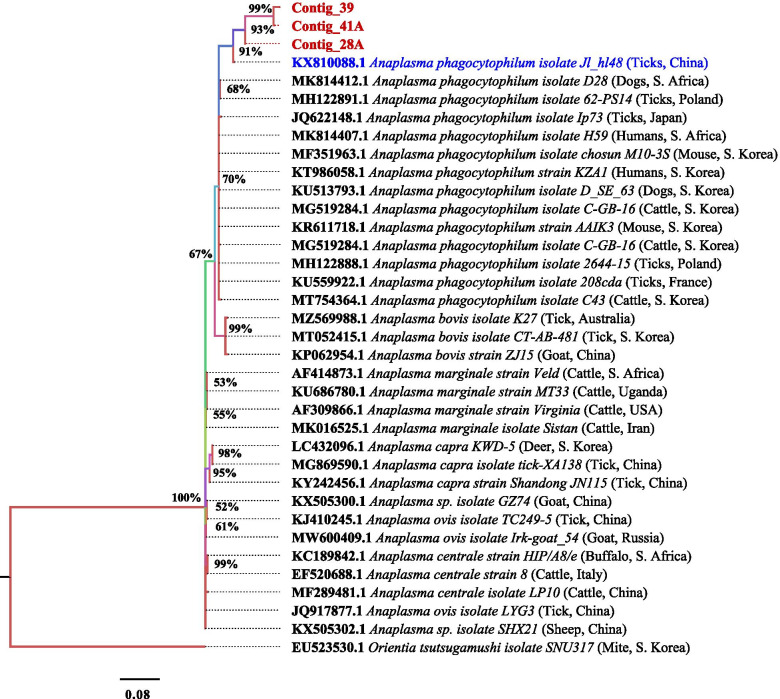 Fig. 3