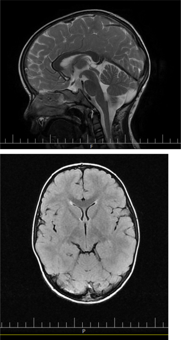 FIGURE 1