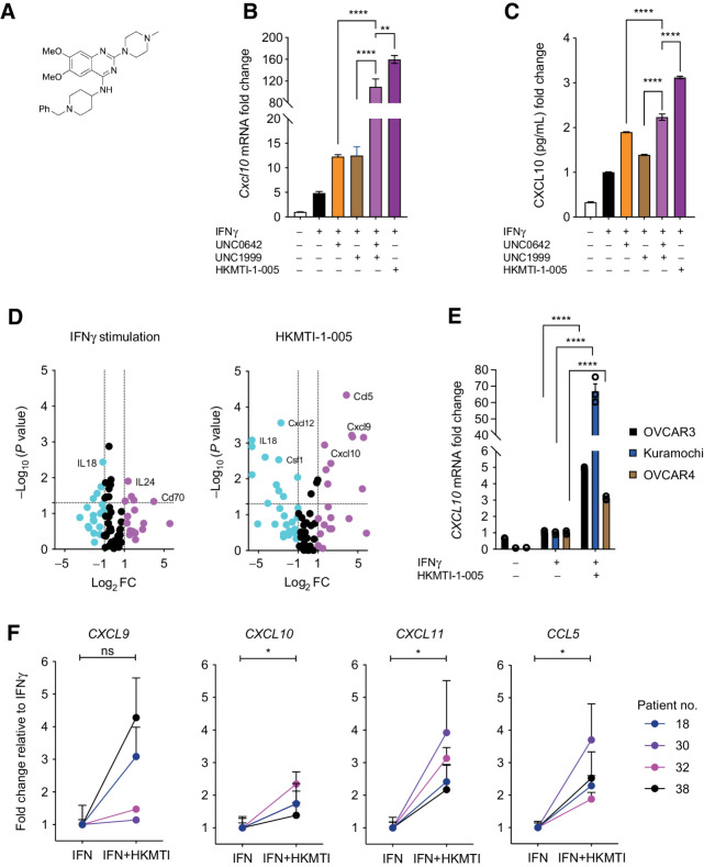 Figure 2. Dual inhibition of G9A/EZH2 upregulates chemotactic chemokines in vitro in mouse and human. A, Chemical structure of HKMTI-1–005. B, Cxcl10 mRNA fold change, normalized to Gapdh housekeeping gene, following treatment of Trp53−/− ID8 cells with IFNγ 1 ng/mL with or without UNC0642 5 μmol/L (G9A inhibitor), UNC1999 2 μmol/L (Ezh2 inhibitor), or HKMTI-1–005 6 μmol/L (dual G9A/EZH2 inhibitor) for 72 hours. Mean values across treatments were compared with ordinary one-way ANOVA with Tukey multiple comparison test. Bars represents mean ± SEM, n = 3 biological replicates. Doses for UNC0642 and UNC1999 differed from the initial screening (Fig. 1) following further optimization. C, CXCL10 protein fold change determined by ELISA following treatment as per A. Mean values across treatments were compared using one-way ANOVA with Dunnett multiple comparisons test. Bars represents mean ± SEM, n = 3 biological replicates. D, Expression of 84 chemokines and cytokines following treatment of Trp53−/− ID8 cells with IFNγ 1 ng/mL (left) with or without treatment with HKMTI-1–005 6 μmol/L (right) for 72 hours. The experiment was performed in technical triplicates. Magenta color: Log2FC ≥ 1, black color: −1 ≤ Log2FC ≤ 1 and cyan color: Log2FC ≤ −1. Gene list is found on Supplementary Table S3, quality control and automatic normalization analysis in Supplementary Tables S4 and S5, respectively. E, CXCL10 mRNA change following treatment of OVCAR3, Kuramochi and OVCAR4 cell lines with IFNγ 1 ng/mL or HKMTI-1–005 10 μmol/L plus IFNγ 1 ng/mL for 72 hours. ΔΔCT values were normalized to control ACTB housekeeping gene CT values. Mean values across treatments were compared by ordinary one-way ANOVA with Tukey multiple comparison test and only comparisons between HKMTI-1–005 10 μmol/L plus IFNγ versus IFNγ alone are shown. Each bar represents mean ± SEM, n = 3 biological replicates. F, CXCL9, CXCL10, CXCL11, and CCL5 expression in four human ascites derived cultures. Three with ovarian HGSC and one with grade 2 to 3 endometrioid ovarian carcinoma. Each dot represents the mean ± SEM of three technical replicates for each patient. ΔCt values were normalized to ACTB housekeeping gene. Data represent fold change relative to IFNγ. Mean values were compared using paired t tests (****, P < 0.0001; ***, P < 0.001; **, P < 0.01; *, P < 0.05; ns, nonsignificant).