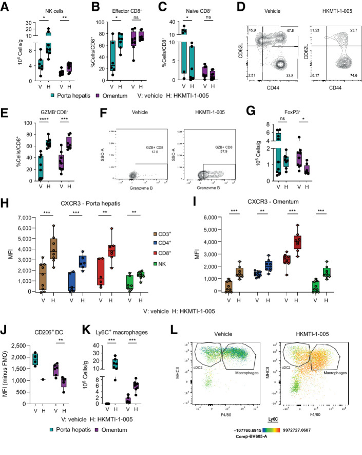 Figure 5. Dual G9A/EZH2 inhibition changes intratumoral immune cell composition in a mouse ovarian cancer model. A, Quantitative result for NK cells (CD3− DX5+) cells in porta hepatis deposits with vehicle (n = 7) versus HKMTI-1–005 (n = 8) treatment and in the omental deposits in mice treated with vehicle (n = 9) versus HKMTI-1–005 (n = 8) treatment from mice bearing intraperitoneal Trp53−/− ID8 cells were treated with either HKMTI-1–005 or vehicle as per Fig. 4A. Significance was tested using an unpaired t test. B, Percentage of effector CD8+ cells (CD44+CD62L−) within the total CD8+ population in porta hepatis deposits and omental deposits in mice treated with vehicle (n = 6 and 8, respectively) versus HKMTI-1–005 (n = 7 and 8, respectively) treatment. Significance was tested using an unpaired t test. C, Percentage of naïve CD8+ (CD44− CD62L+) within the total CD8+ population in porta hepatis deposits and omental deposits in mice treated with vehicle (n = 6 and 8, respectively) versus HKMTI-1–005 (n = 7 and 8, respectively) treatment. Significance was tested using an unpaired t test (porta hepatis) and Mann–Whitney test (omental deposit). D, Representative contour plot from one of the omental deposits for effector and naïve CD8+ cells, in mice treated with vehicle versus HKMTI-1–005 treatment. E, Percentage of granzyme-B (GZMB+) CD8+ cells, following stimulation, within the total CD8+ population in porta hepatis deposits and omental deposits from mice treated with vehicle (n = 9 and 8, respectively) versus HKMTI-1–005 (n = 9 and 8, respectively) treatment. Statistical significance was tested by unpaired t test. F, Representative contour plot showing (GZMB+) CD8+ cells from one of the omental deposits from E. G, Quantitative result for T regulatory CD4+ cells (FoxP3+ CD4+) cells in porta hepatis deposits and omental deposits with vehicle (n = 9 and 8, respectively) versus HKMTI-1–005 (n = 9 and 8, respectively) treatment. Unpaired t test (porta hepatis deposits) and Mann–Whitney test (omental deposits). H, CXCR3 MFI on CD3+ (n = 9 vehicle and n = 8 HKMTI-1–005), CD4+ (n = 6 vehicle and n = 6 HKMTI-1–005), CD8+ (n = 6 vehicle and n = 7 HKMTI-1–005), and NK cells (n = 7 vehicle and n = 8 HKMTI-1–005) in the porta hepatis deposits. Statistical significance was tested by unpaired t-test. I, CXCR3 MFI on CD3+ (n = 9 vehicle and n = 8 HKMTI-1–005), CD4+ (n = 9 vehicle and n = 8 HKMTI-1–005), CD8+ (n = 8 vehicle and n = 8 HKMTI-1–005), and NK cells (n = 9 vehicle and n = 8 HKMTI-1–005) in omental deposits. Unpaired t test. J, CD206 MFI on cDC1 dendritic cells (CD11b−MHCII+CD11c+) in porta hepatis deposits (n = 4 vehicle and n = 1 HKMTI-1–005, statistics not performed as n < 3) and omental deposits (n = 6 vehicle and n = 5 HKMTI-1–005). Statistical significance was tested by unpaired t test. K, Ly6C+ macrophages (CD11b+MHCII+F4/80+) in porta hepatis and omentum deposits with vehicle (both n = 7) versus HKMTI-1–005 (n = 7 and 8, respectively) treatment. Statistical significance was tested by the Mann–Whitney test. L, Representative flow cytometry plot with pseudocolour heatmap showing Ly6C+ macrophages from a representative omental deposit from K. cDC2+ cells were subsequently gated on a CD11c+ (****, P < 0.0001; ***, P < 0.001; **, P <0.01; *, P < 0.05; ns, nonsignificant). Error bars represent SEM.