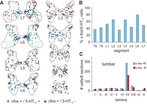 FIG. 10.