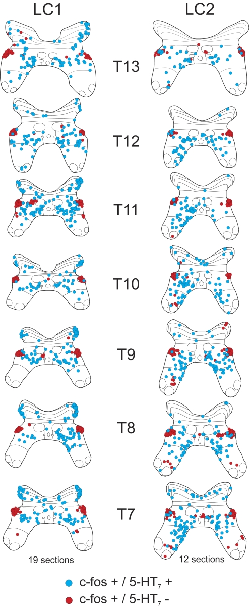 FIG. 7.