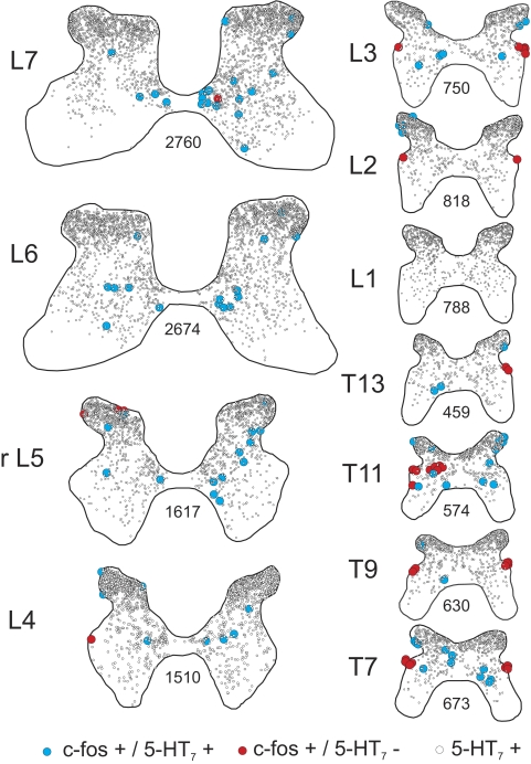 FIG. 5.