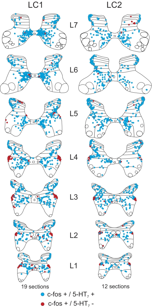 FIG. 6.