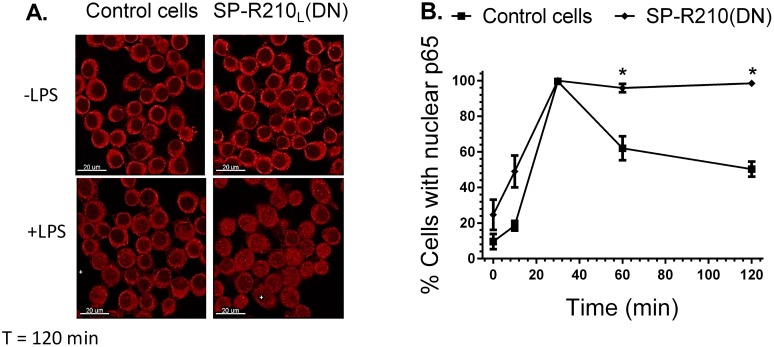 Fig 8