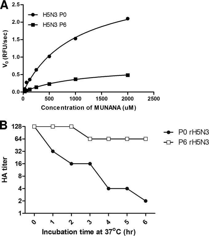 FIG 6