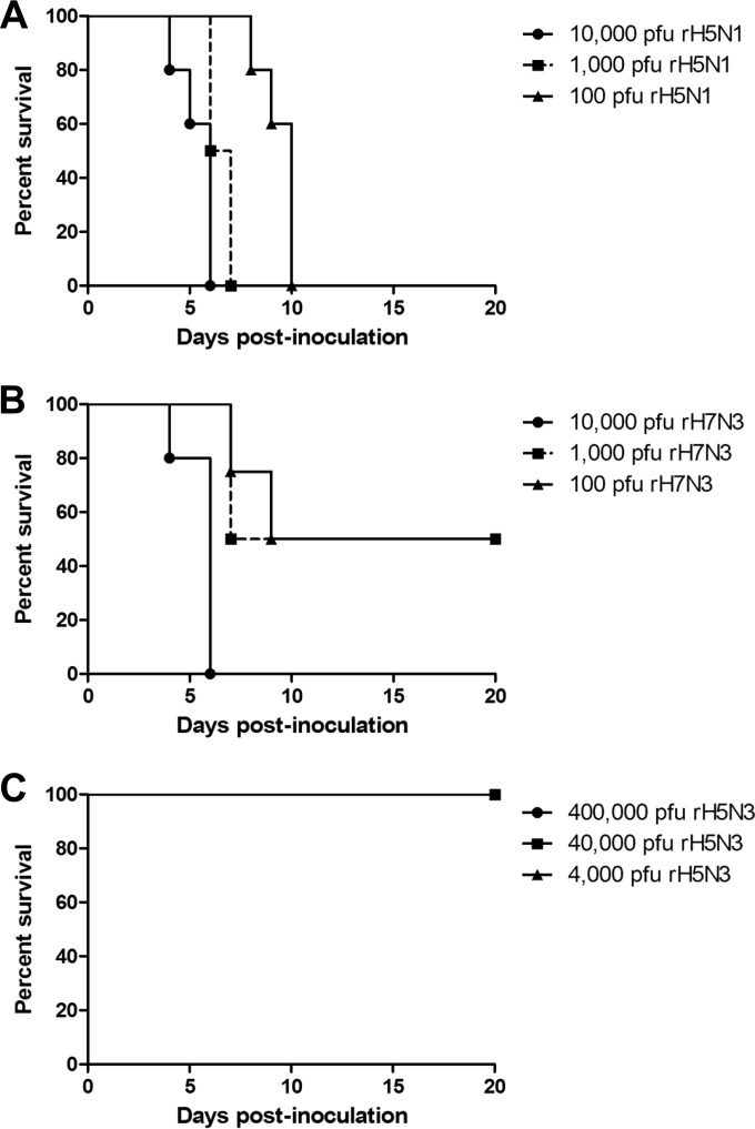 FIG 2