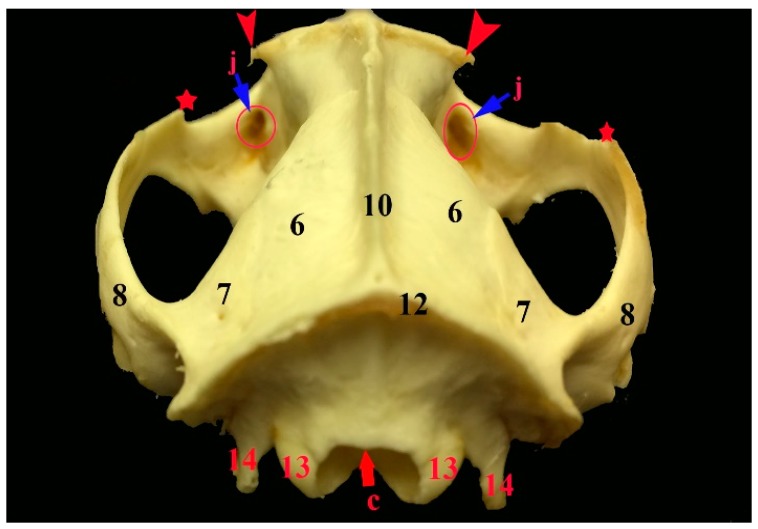 Figure 5