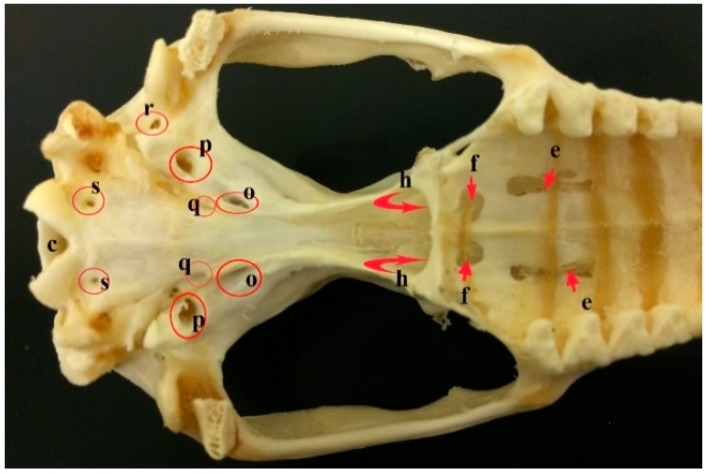 Figure 8