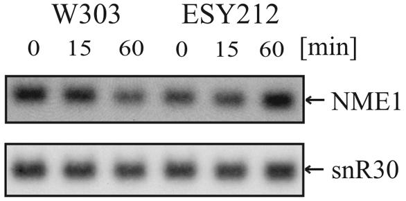 FIG. 8.