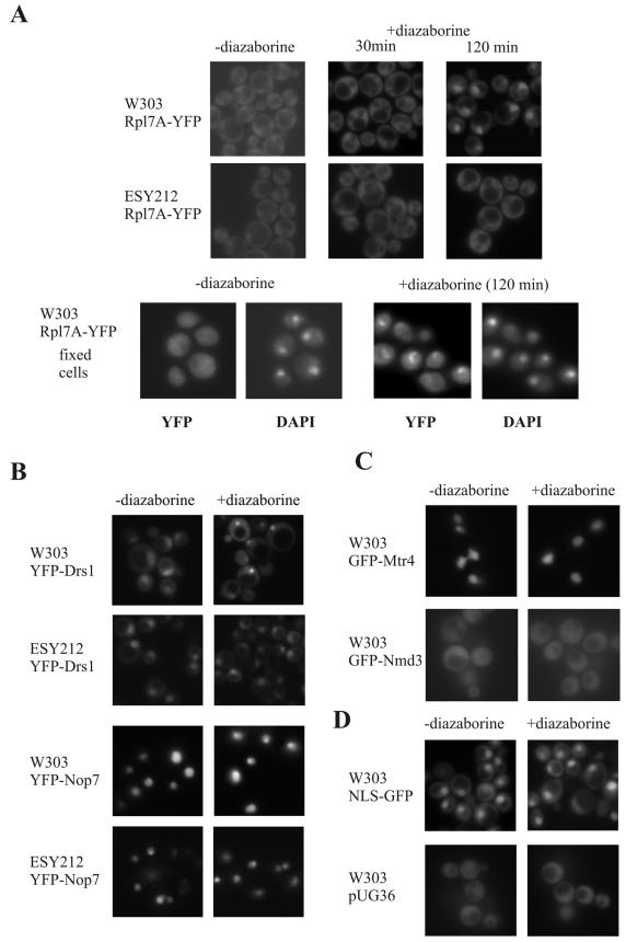 FIG. 10.