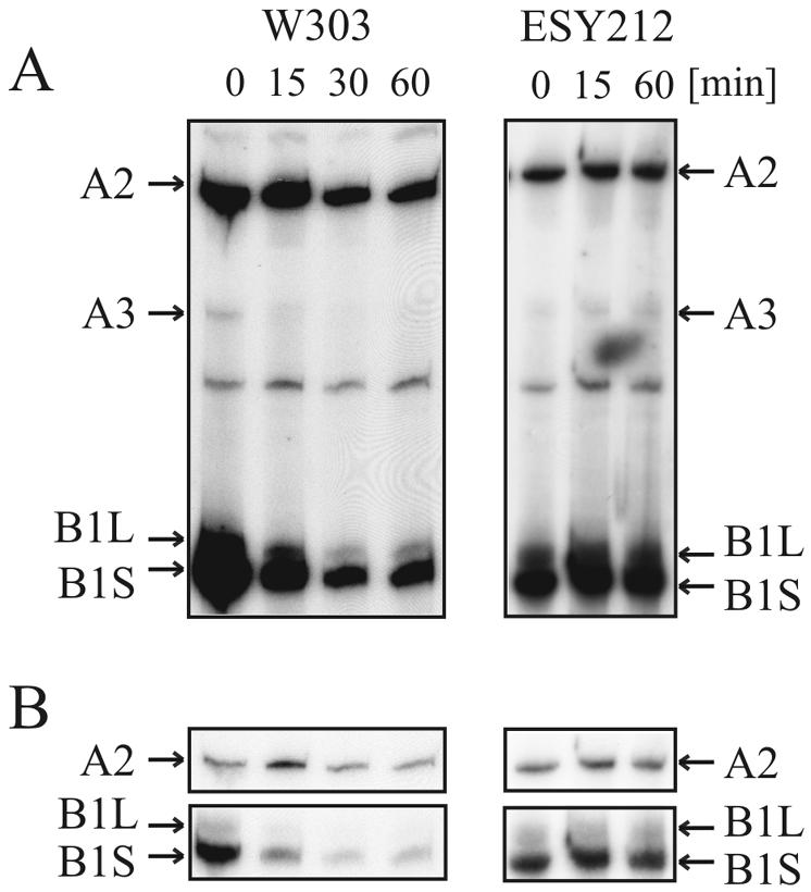 FIG. 7.