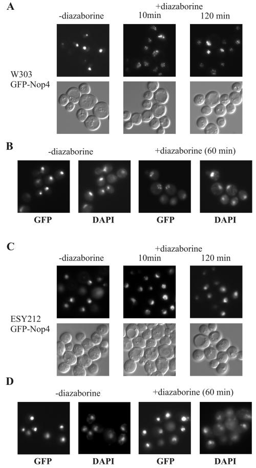 FIG. 9.