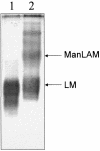 FIG. 2.