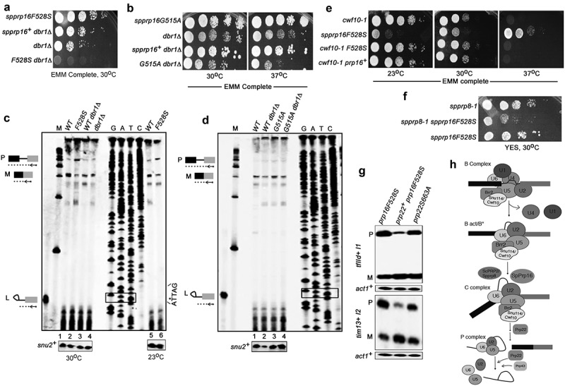 Figure 4.