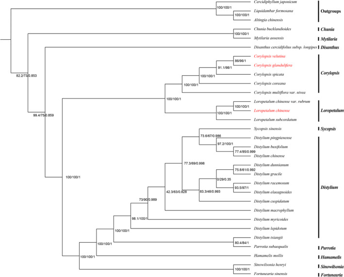 FIGURE 10