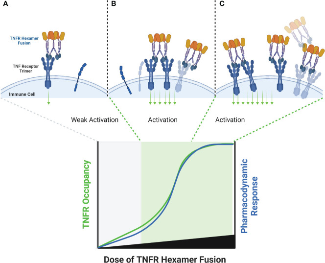 Figure 7