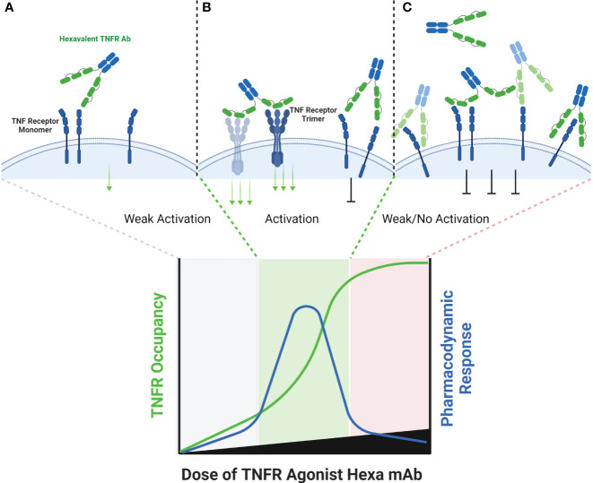 Figure 5