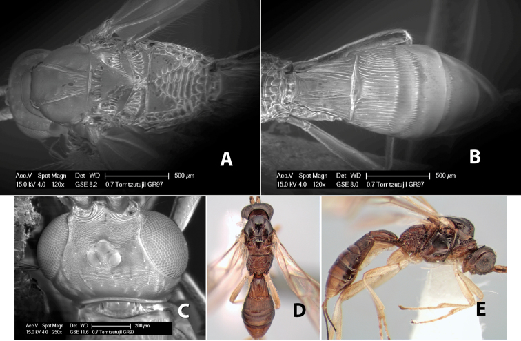 Figure 197.