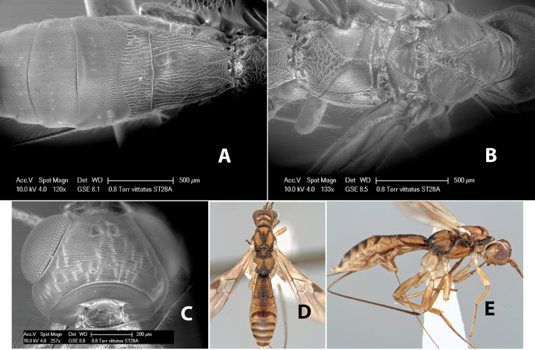 Figure 122.