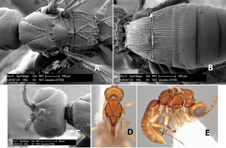 Figure 112.