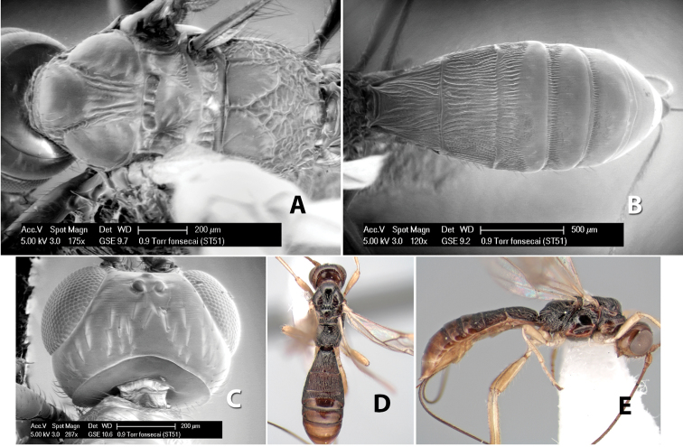 Figure 44.