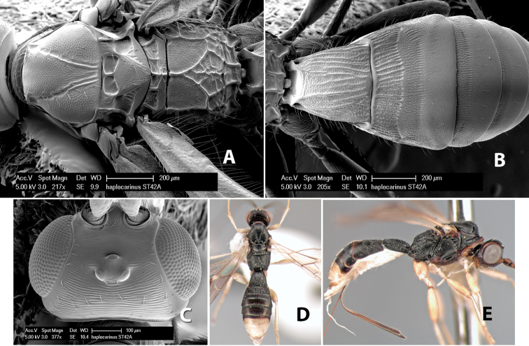 Figure 57.