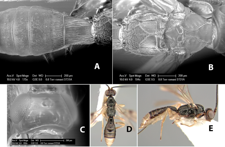 Figure 104.