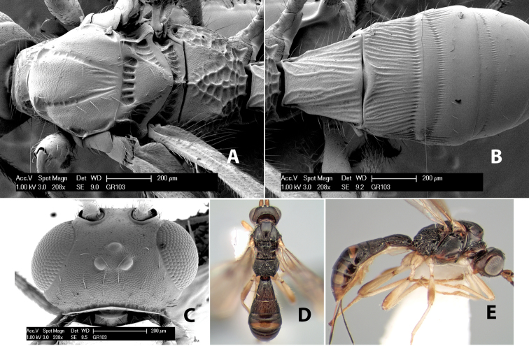 Figure 193.