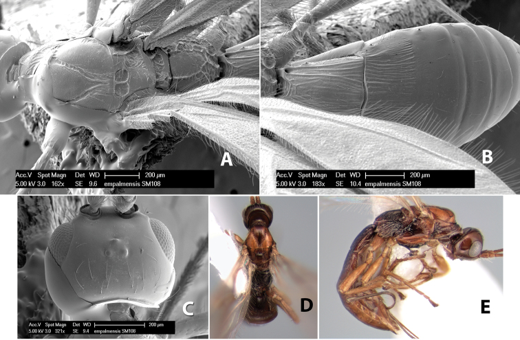 Figure 237.