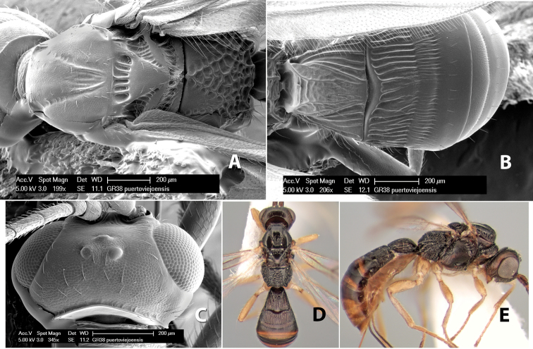 Figure 183.