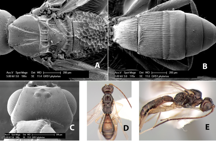 Figure 180.