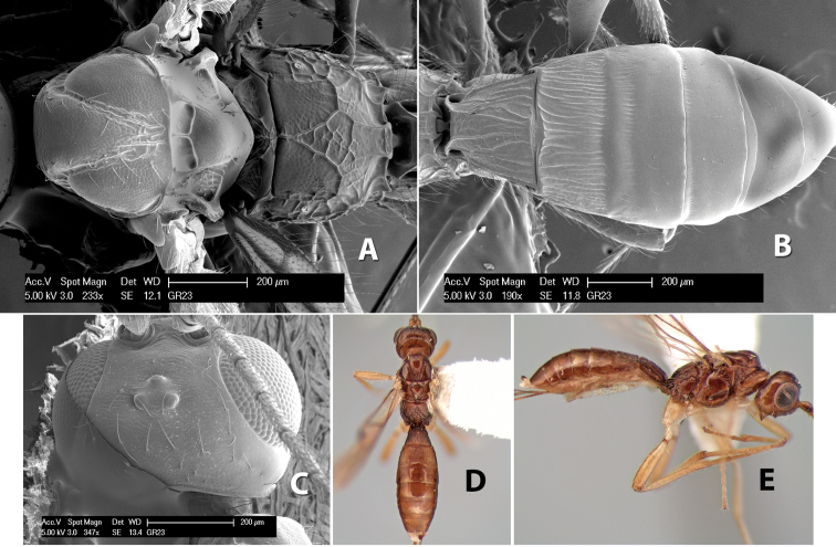 Figure 165.