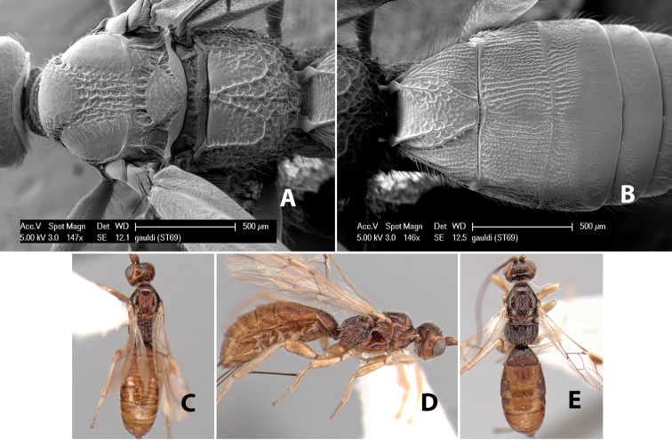 Figure 48.