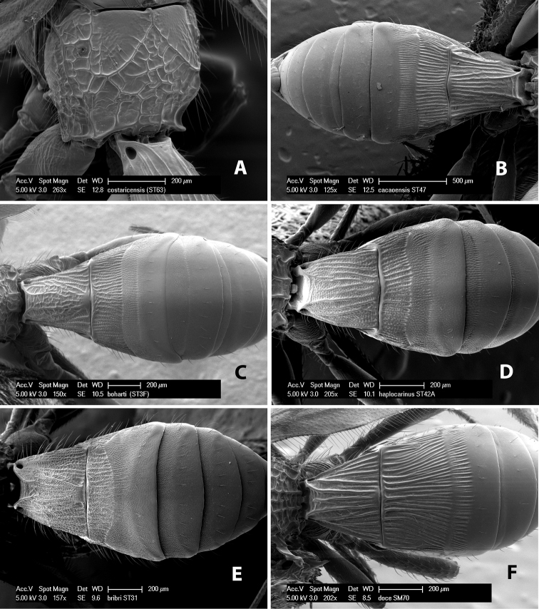 Figure 6.